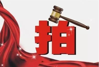 司法网拍还要斗气竞价？法官提醒公众理性参与总第871期