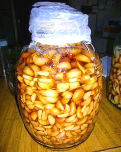 钓鱼加蒜水真能避免小鱼闹窝吗,钓鱼时大蒜能诱鱼吗