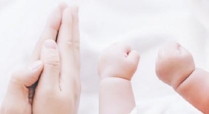 张杰谢娜双胞胎女儿今年几岁,张杰谢娜双胞胎是女孩还是男孩