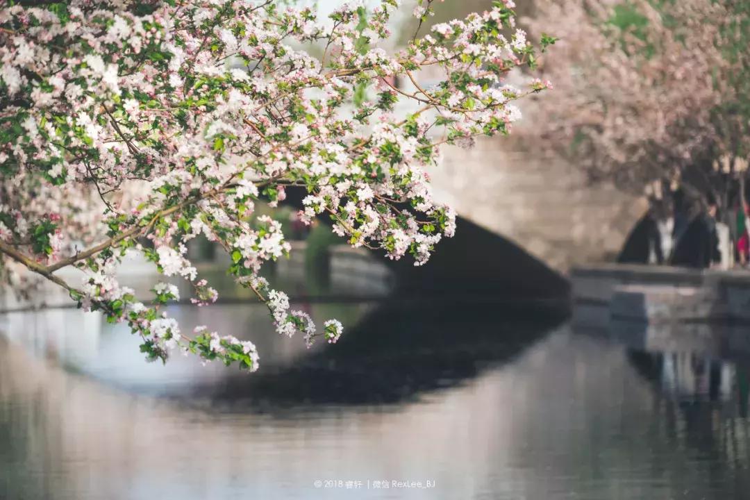 无反是微单吗,微单无反是什么意思