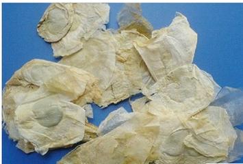 易读错中药名看看你认识几种,这些高雅中药名的真面目你知道吗