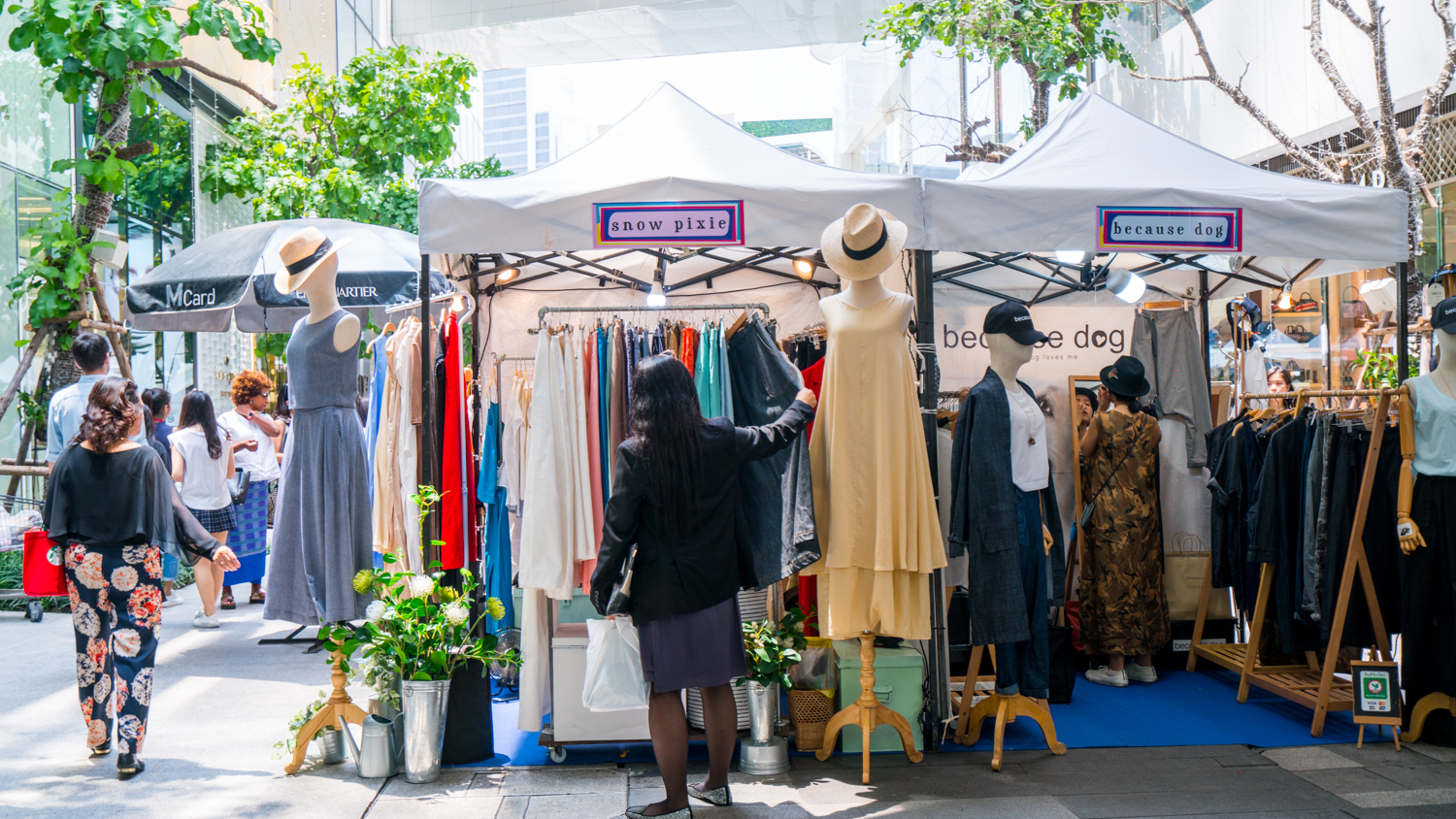 泰国旅游曼谷清迈攻略,泰国清迈的旅游攻略