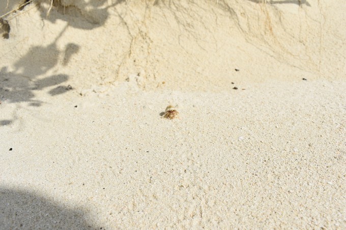 马尔代夫奥瑞格卡纳塔岛,蜜月旅行推荐马尔代夫