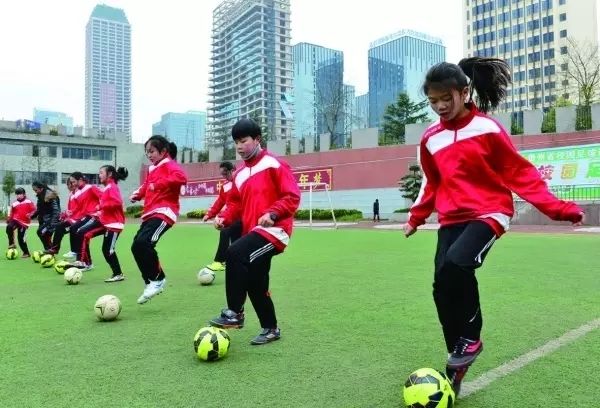 寮哄仴浣撻瓌纾ㄧ牶鎰忓織,鍋ュ己浣撻瓌绛戞ⅵ鍓嶈娲诲姩鎬荤粨