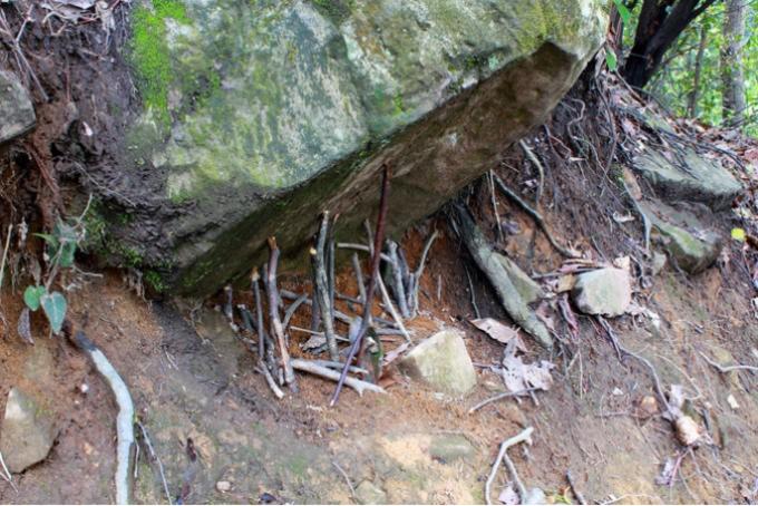 香港人组团游张家界,姐妹相约张家界三日游