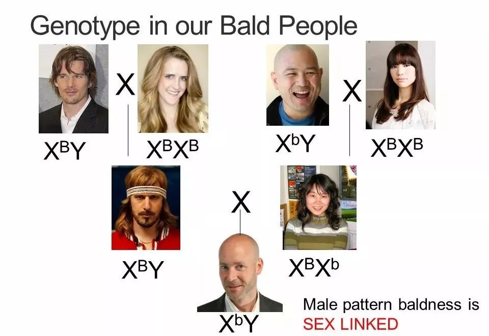 侧柏叶怎么防脱发和生发偏方大全,防脱发偏方用多久见效