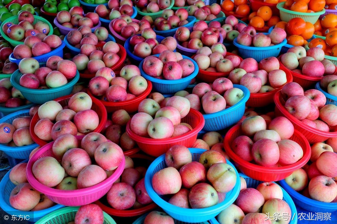 最近水果价格猛涨的几大因素,今年冬天为什么水果价格偏高