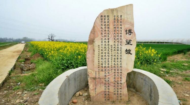 南阳博望规划图,南阳博望最新规划图