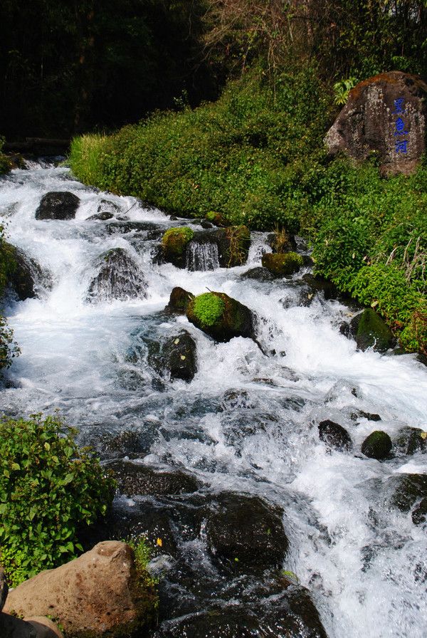 “情不知所起,一往而深”:腾冲旅游吃住行攻略拿走不谢