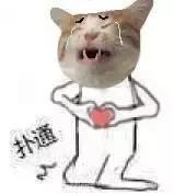 100块都不到，我竟然买到了比香奈儿还要美的平价替代！