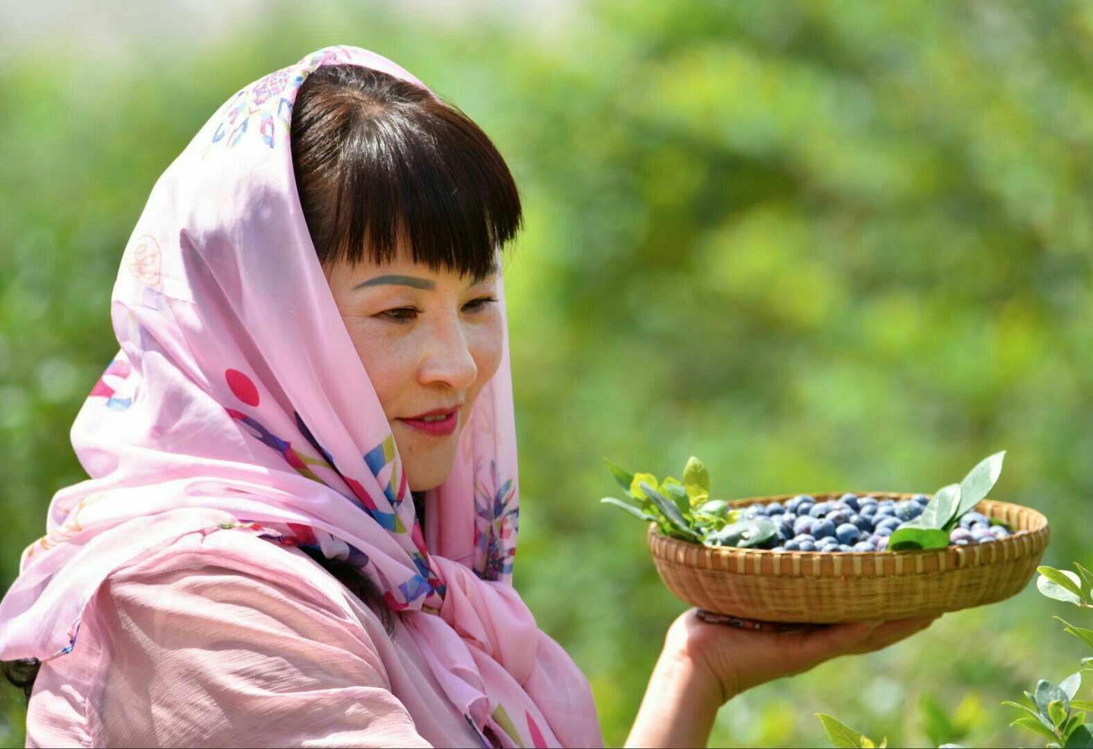 蓝莓是著名的什么果,蓝莓特色产品简介