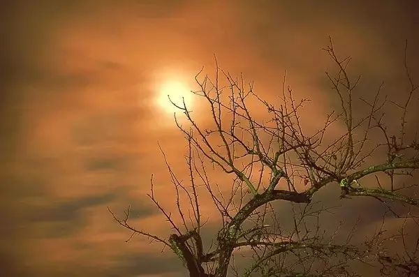 福建土楼为什么令人叹为观止,福建土楼最吸引人的地方