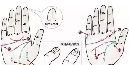 手诊了解一个人的性格和健康,十个最简单的手诊图