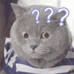 厦门房租又涨了,厦门房租一个月最低多少