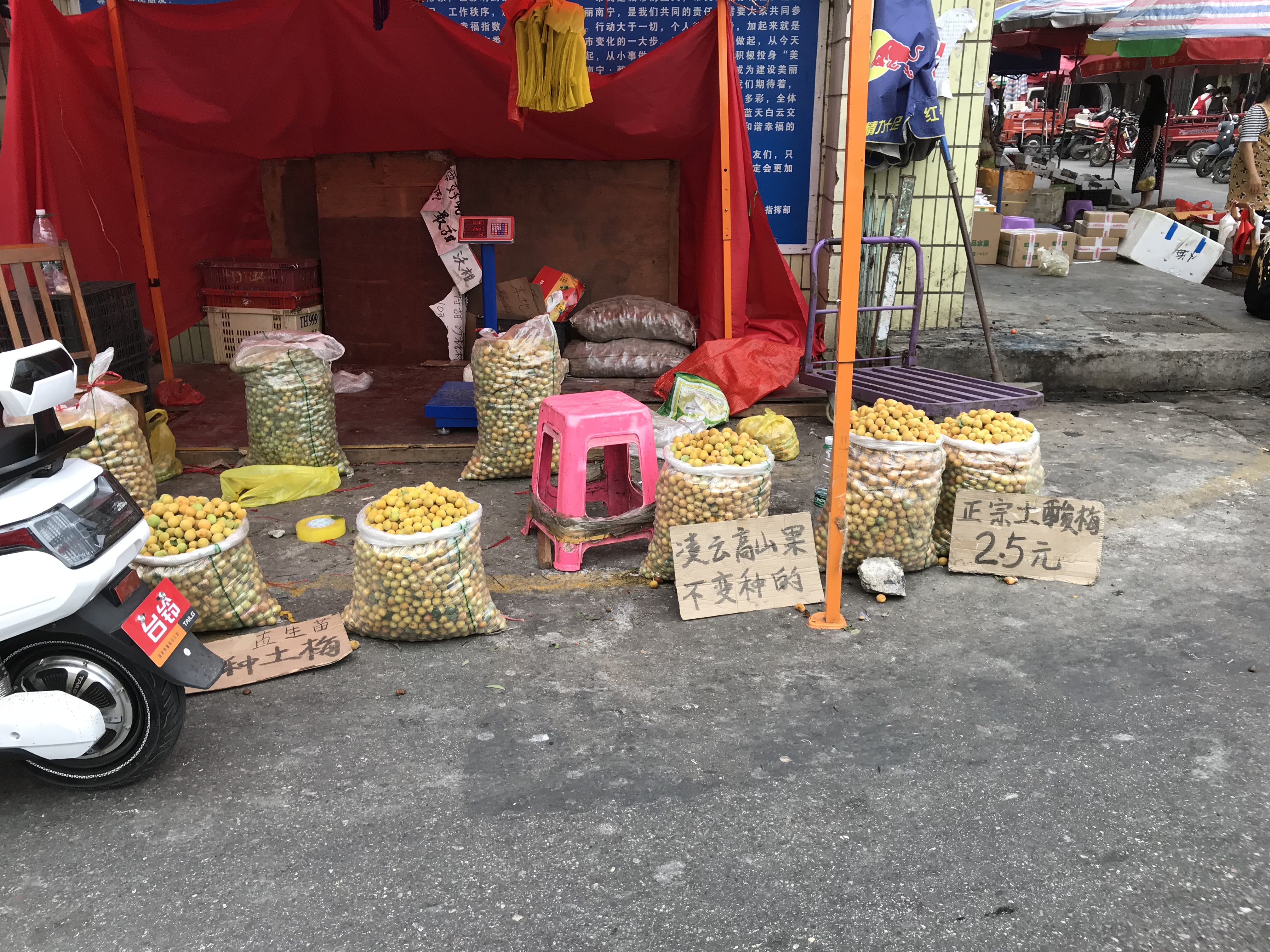 南宁金陵镇水果批发市场今日行情,南宁火车站水果批发市场在哪里