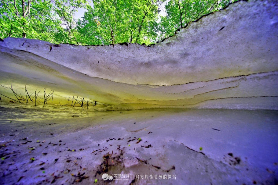 周总理关注的“辽西绿岛”已是天然氧吧