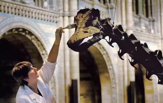 乐享全民刷馆｜跟罗熹去英国自然历史博物馆