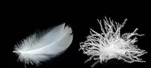 羽绒羽毛的特点,羽绒是怎样制成的