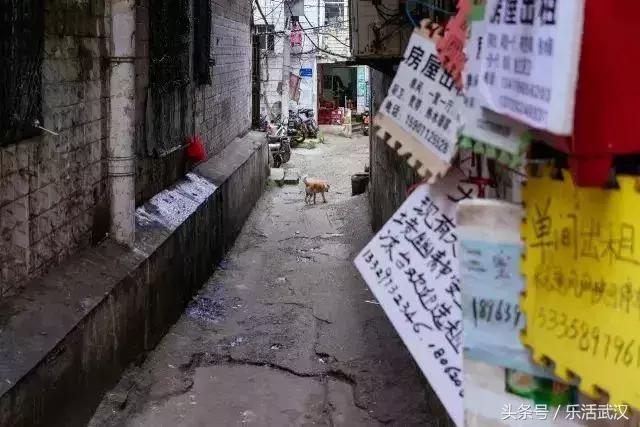 毕业生注意了！5年以上的汉漂总结出来的武汉生存攻略，超实用！