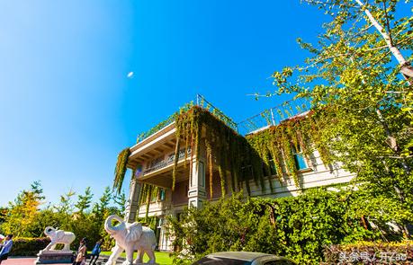 沈阳婚宴酒店预订哪家靠谱,沈阳皇冠假日酒店婚宴价格