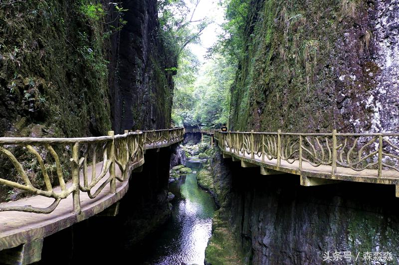 云顶大峡谷攻略,云顶大峡谷景区