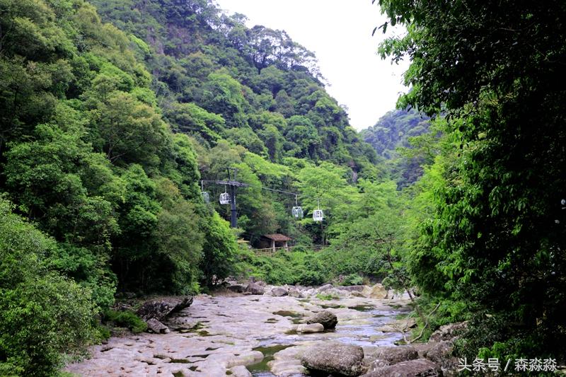 云顶大峡谷攻略,云顶大峡谷景区