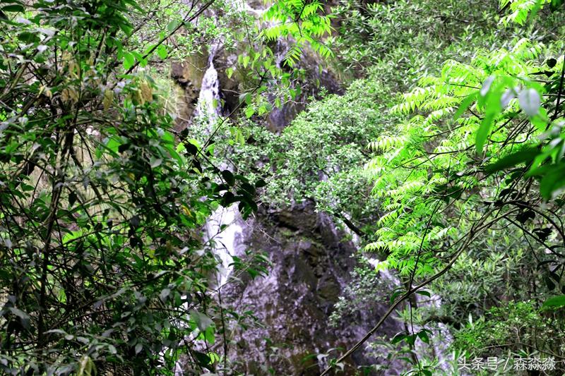 云顶大峡谷攻略,云顶大峡谷景区