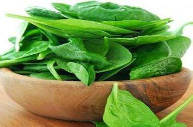 大麦青汁有什么功效减肥,大麦青汁的功效与作用是真的吗