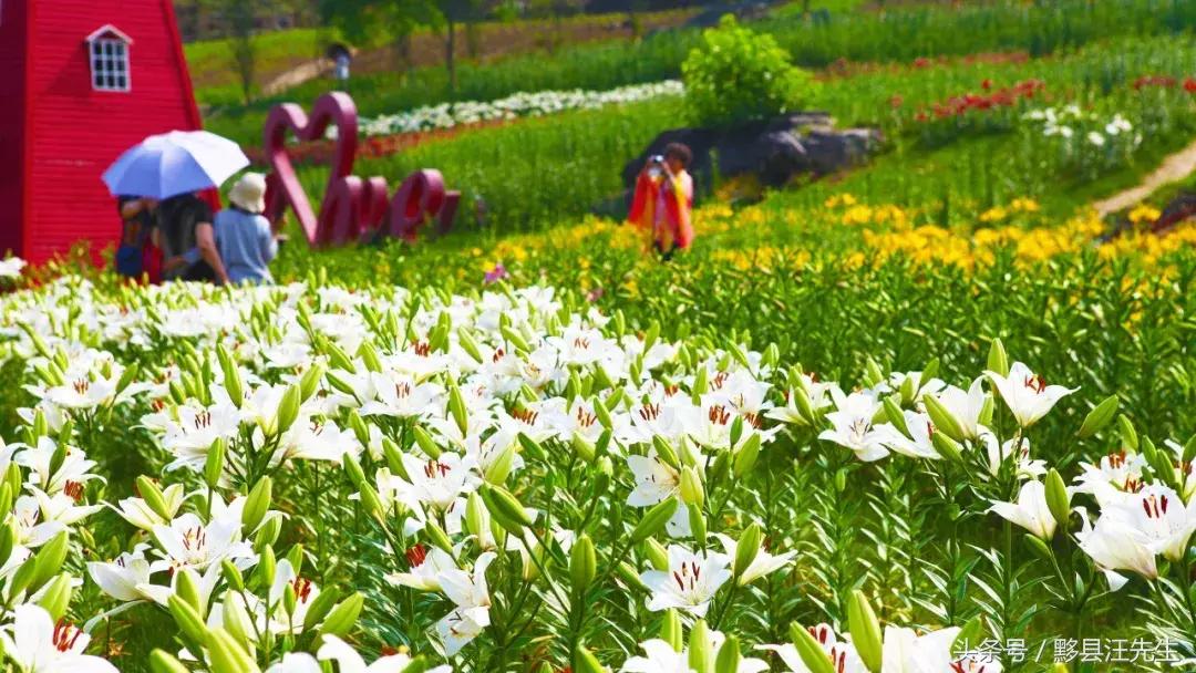 女朋友和老婆的定义是什么,女朋友和老婆的定义