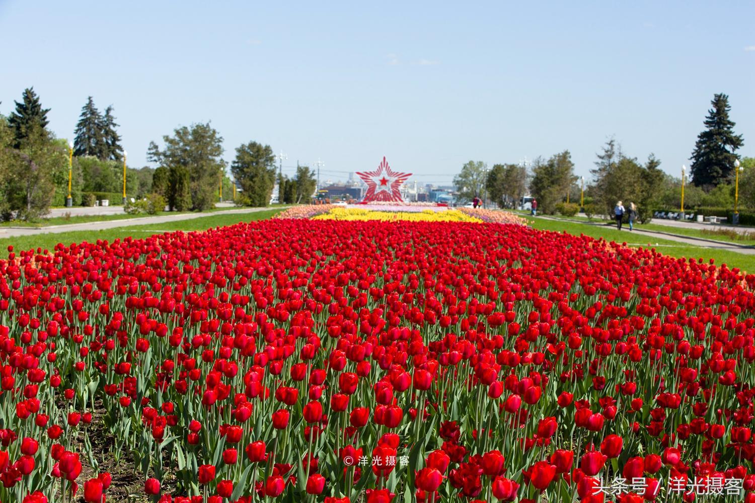 暴走俄罗斯街头,暴走莫斯科