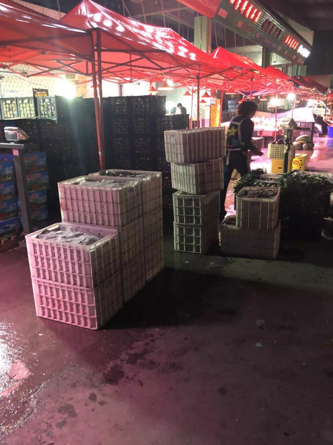 新雪域果蔬城水果旺销，刷新记录，遵义“菜篮子”即将重磅面市！