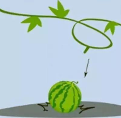 看图猜成语看你猜对几个,看图猜成语10题全猜对智商超过130