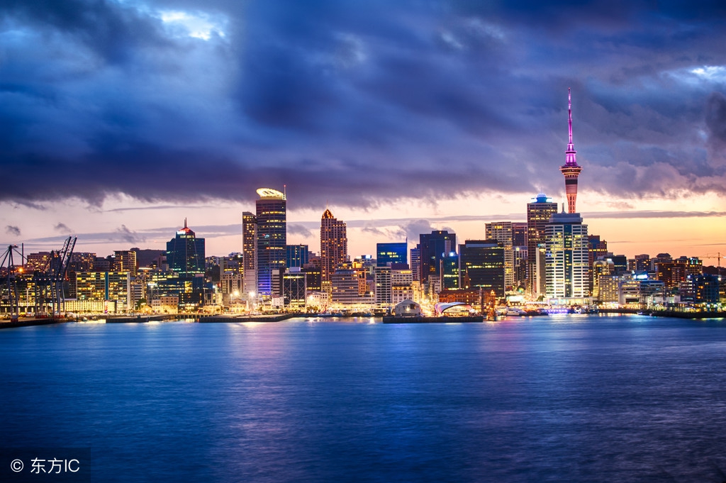 新西兰大学奥克兰大学,新西兰国宝