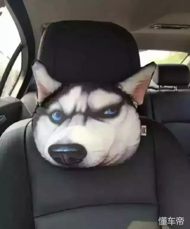 河北车友把媳妇带进“坑”，改车比自己还积极！