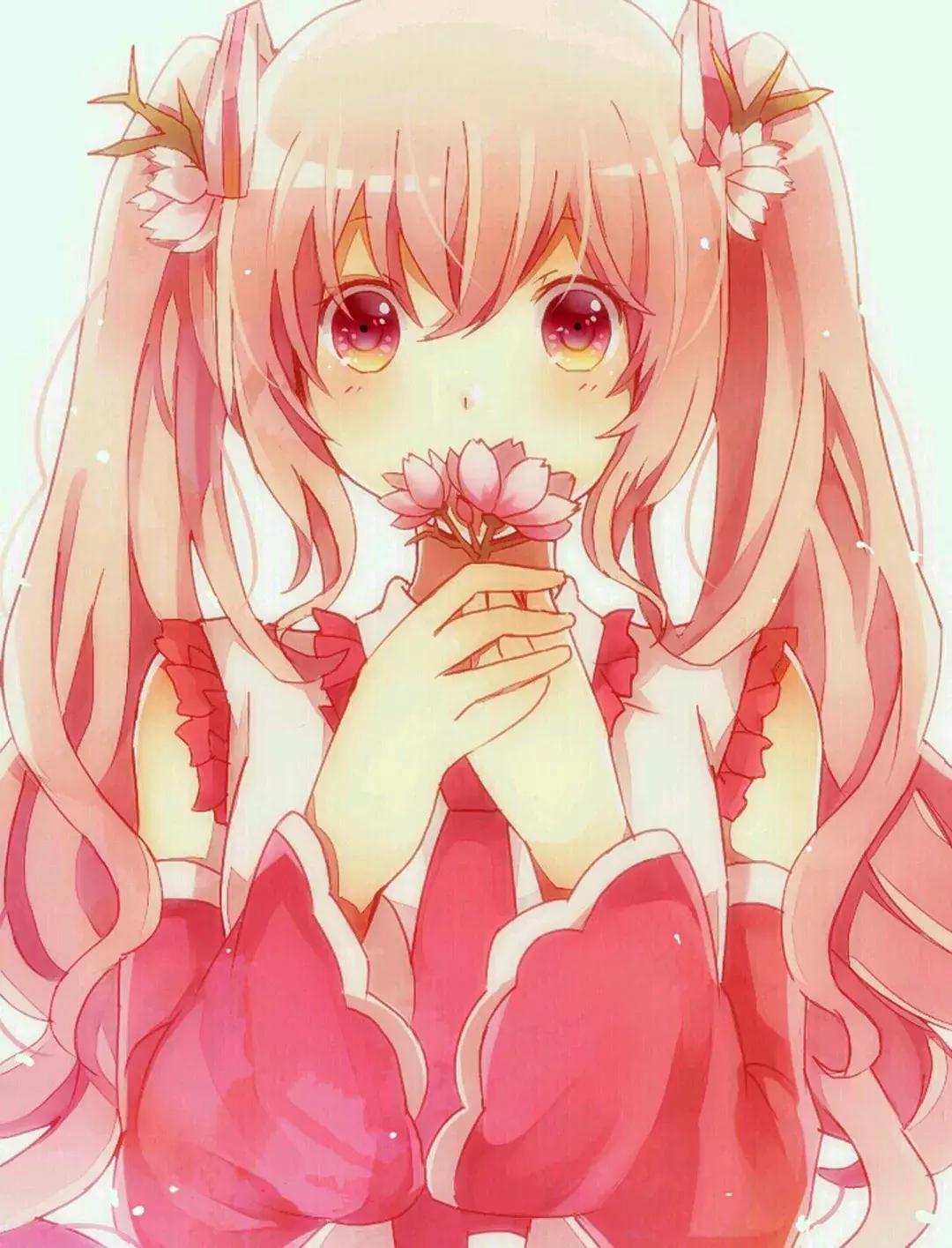 本期壁纸,本期壁纸orange