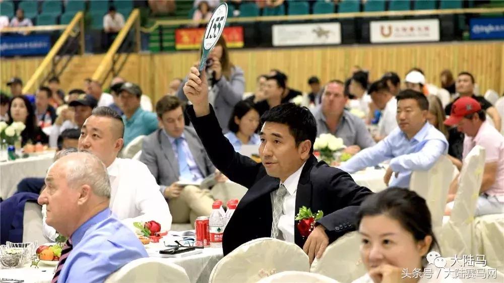 山西玉龙马业拍卖会,中国马拍卖会