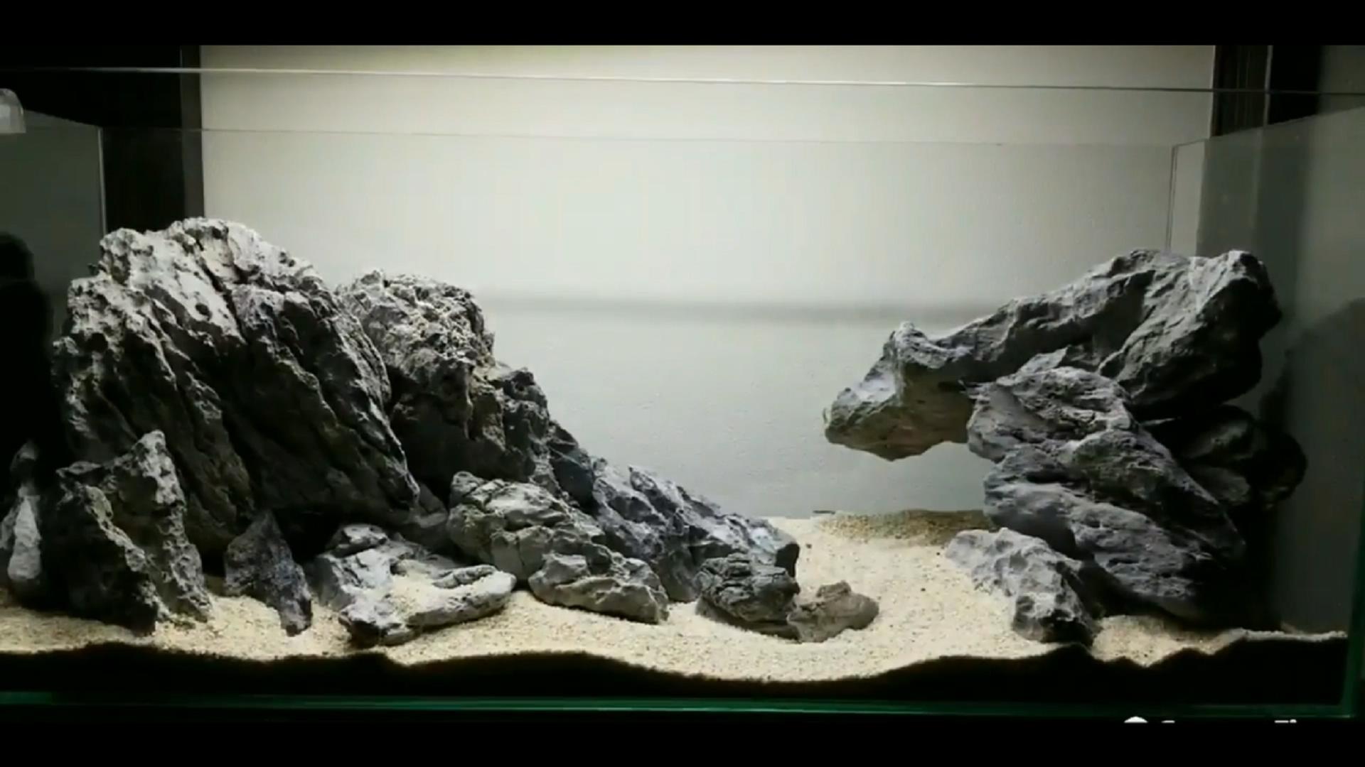 石头开缸需要养水吗,纯石头缸能养出硝化细菌吗