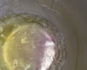 宝宝版酸奶溶豆 (酸奶溶豆婴儿零食独立小装)