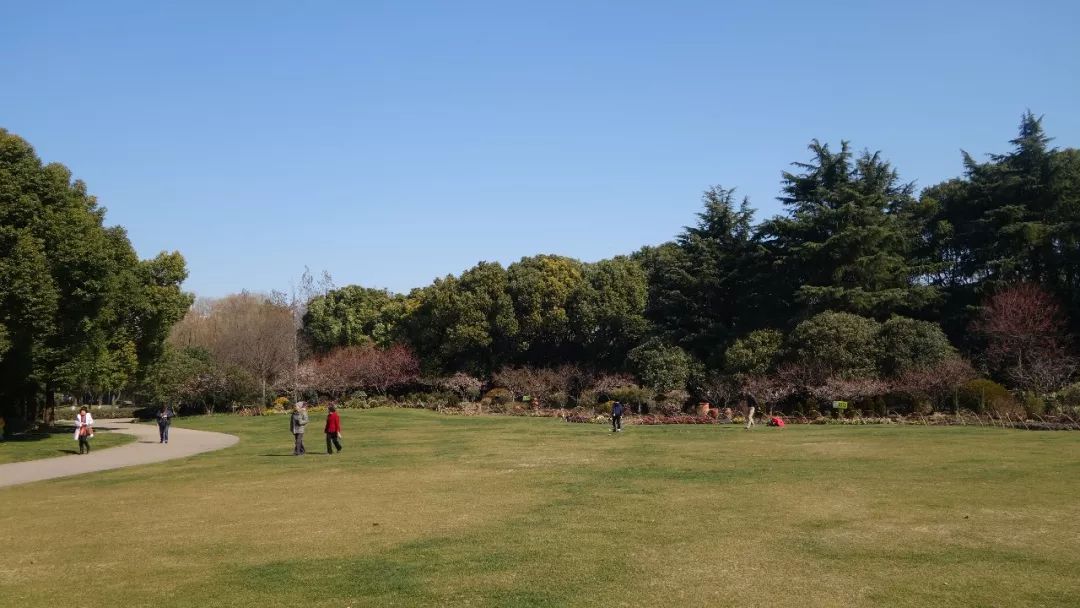 上海旅游必去建筑,时光之旅上海马戏城