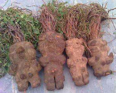 产后脱发吃药2个星期了不见好,产后脱发三种药