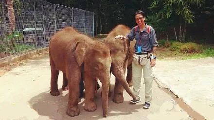 婆罗洲最神奇的探秘之旅,婆罗洲雨林探险