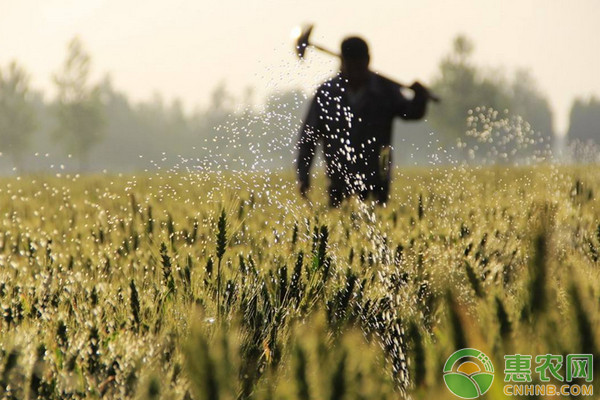 贫困户申请补助金怎么申请,符合贫困户申请条件的标准
