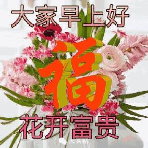 明日小满，送你好看的群聊动图，请收下