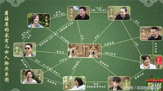 宋丹丹给黄磊扎头发,宋丹丹蘑菇屋大华