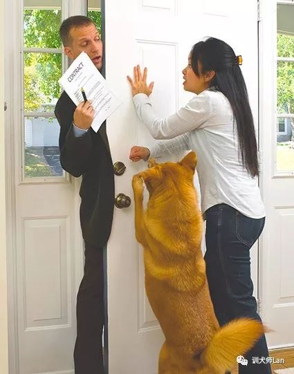 狗狗见了路人吠叫怎样训,狗狗应激吠叫的原因有哪些