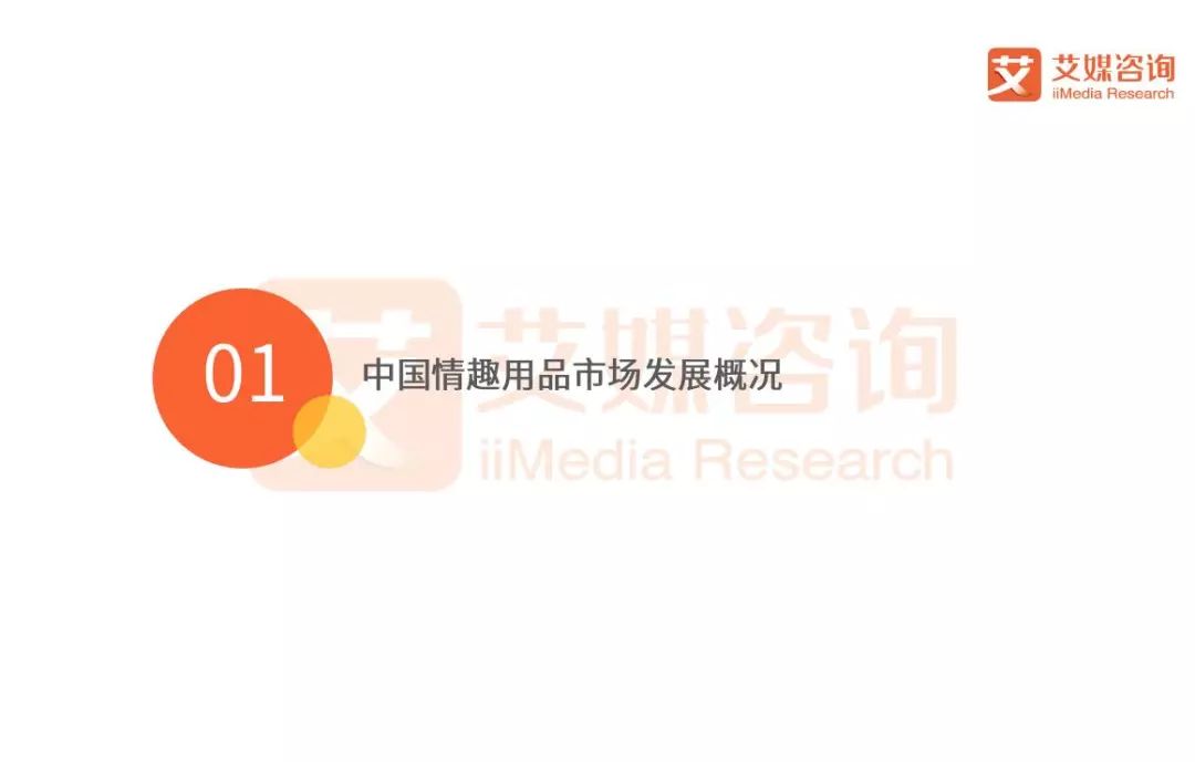 2018Q1中国情趣用品专题研究报告
