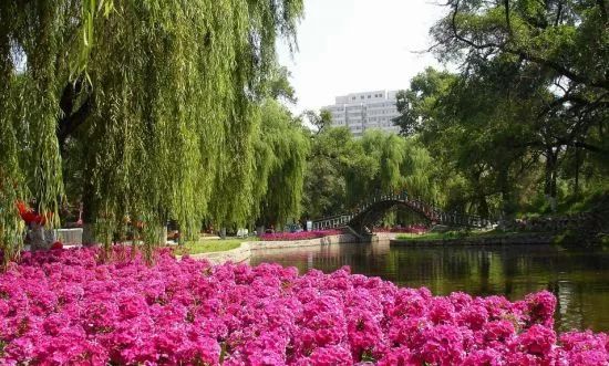 红色黑龙江图片,黑龙江红色景区有哪些