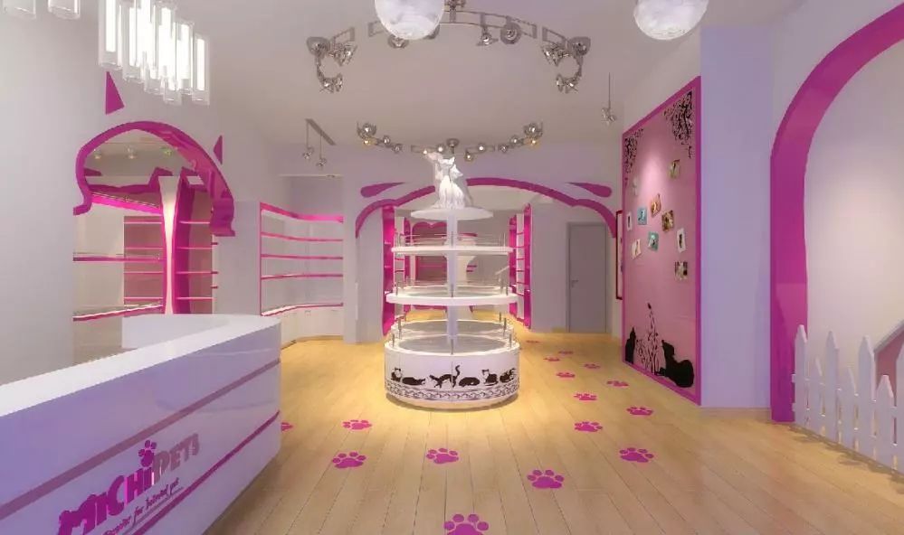 开宠物店怎么装修,年赚百万的宠物店