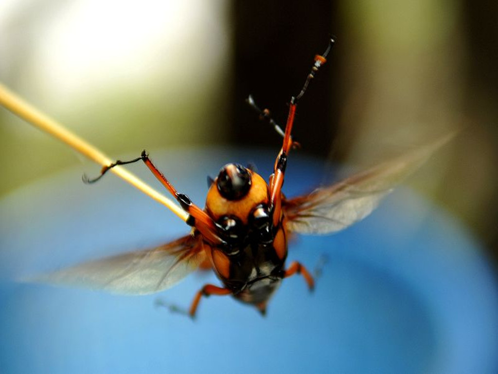 童年抓虾摸鱼趣事,童年抓鱼挖泥鳅