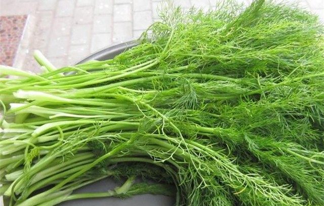 慢性宫颈炎的克星食物,妇科炎症别担心用妇炎洁